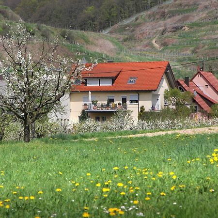 Ferienwohnung Graf フォグツブルク エクステリア 写真
