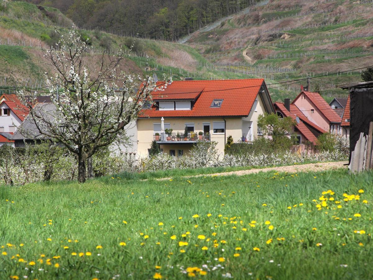 Ferienwohnung Graf フォグツブルク エクステリア 写真